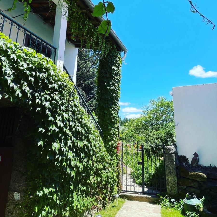Casa Do Beco B&B Douro - Guest House Parambos Kültér fotó
